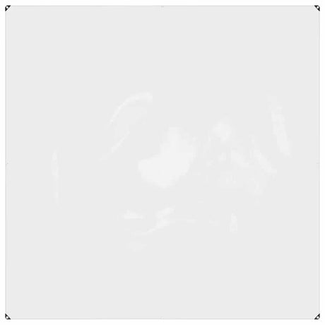 VidaXL transparente Plane mit Ösen 2x2 m PVC