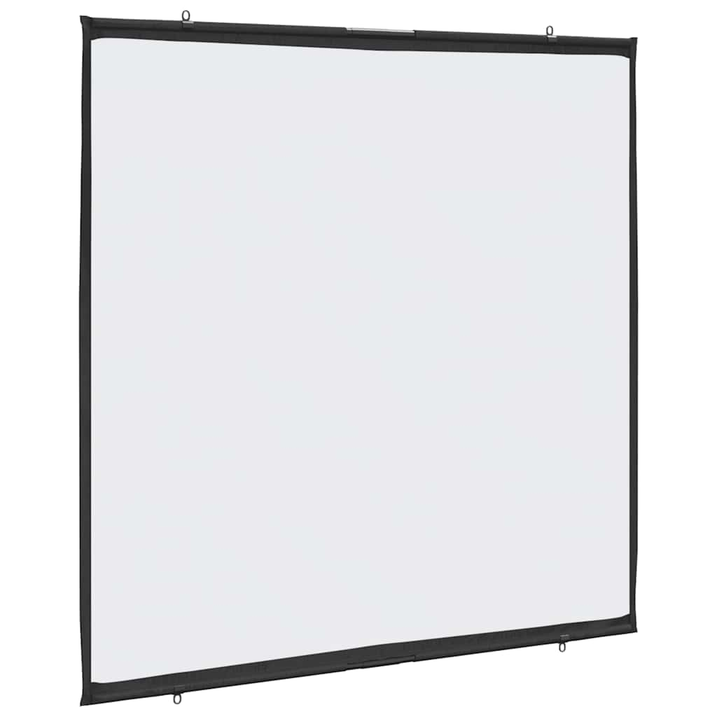 Vidaxl Projection Screen Wall zavěšení 67 palců 1: 1