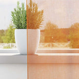 Vidaxl gordijnen voile met lussen 2 st 140x175 cm oranje