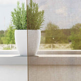 Vidaxl gordijnen voile met lussen 2 st 140x175 cm lichtbruin