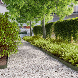 Vidaxl gazonranden 10 st 10x103 cm koudgewalst staal olijfgroen