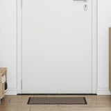 Vidaxl deurmat 40x60 cm bruin