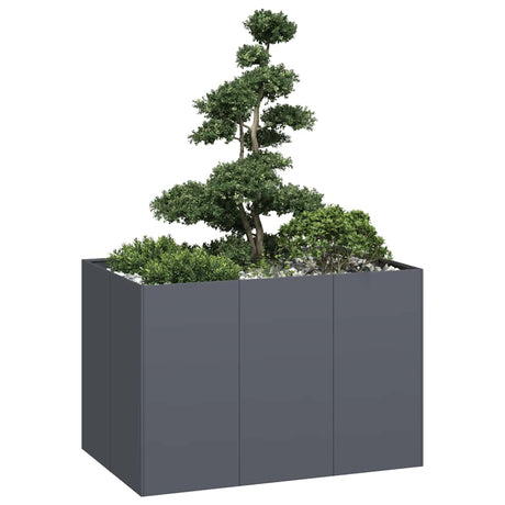 Vidaxl plantenbak 120x80x80 cm staal antracietkleurig