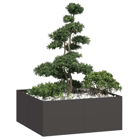 Vidaxl plantenbak 100x100x40 cm staal zwart