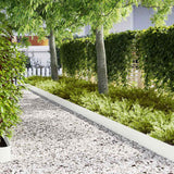 Vidaxl tuinrand 20 pcs wit 100 x 0.05 x 20 cm koudgewalst staal