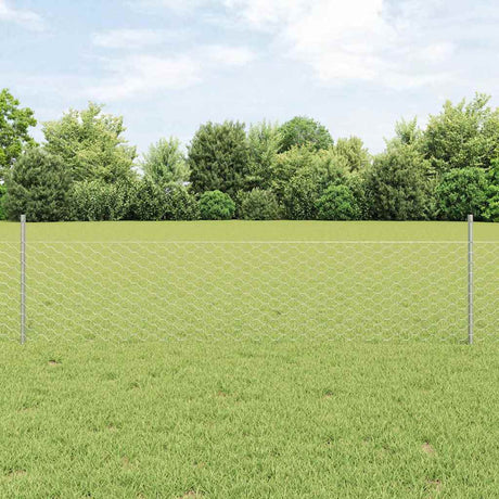 Vidaxl hek met paal zilver 0,5 x 25 m staal