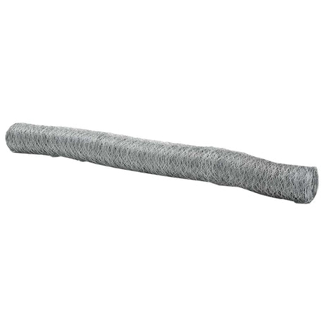Vidaxl hexagon hek zilver 1,2 x 50 m gegalvaniseerd staal