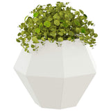 Vidaxl plantenbak 2 pcs wit 50 x 50 x 40 cm staal