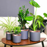 Vidaxl kopertape 6 pcs koper 2000 x 3 cm koper