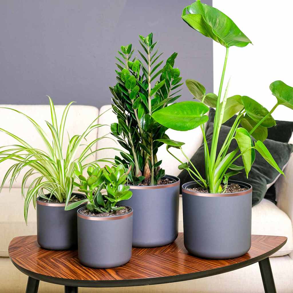 Vidaxl kopertape 6 pcs koper 2000 x 1 cm koper