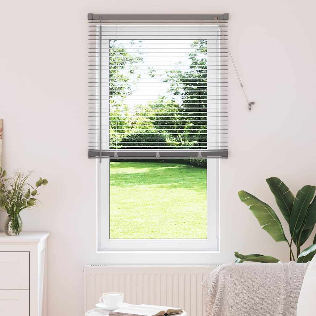 Vidaxl venetiaanse jaloezieën zilver 175 x 70 cm aluminium