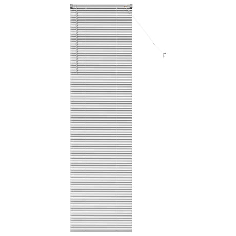 Vidaxl venetiaanse jaloezieën zilver 220 x 55 cm aluminium