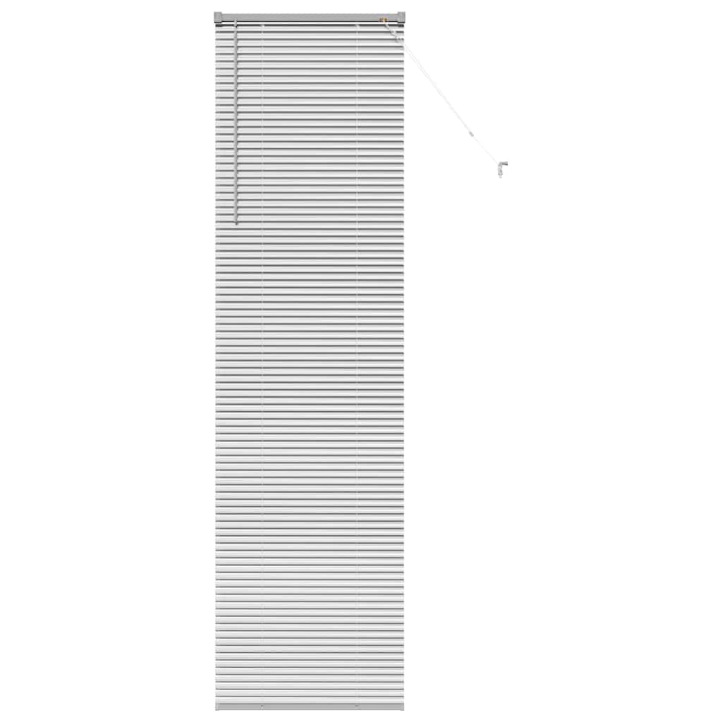 Vidaxl venetiaanse jaloezieën zilver 220 x 65 cm aluminium