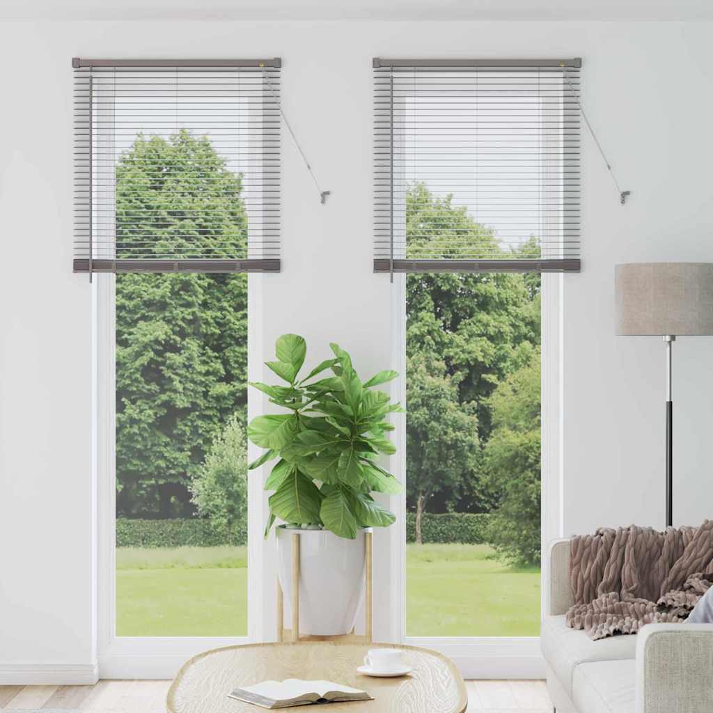 Vidaxl venetiaanse jaloezieën zilver 220 x 70 cm aluminium