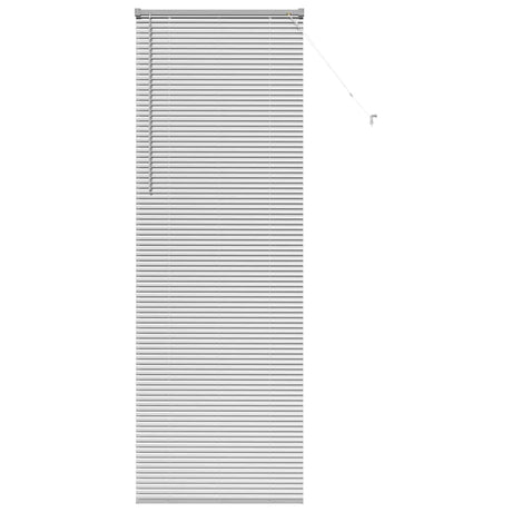 Vidaxl venetiaanse jaloezieën zilver 220 x 80 cm aluminium