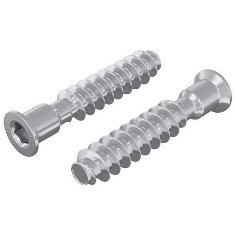 Vidaxl hoofdkapbout 2 pcs zilver m7 x 40 mm staal