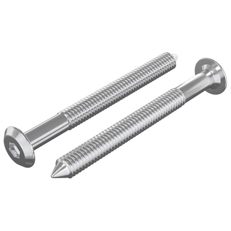Vidaxl meubelschroeven 2 pcs zilver m6 x 60 mm staal