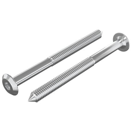 Vidaxl meubelschroeven 2 pcs zilver m6 x 70 mm staal