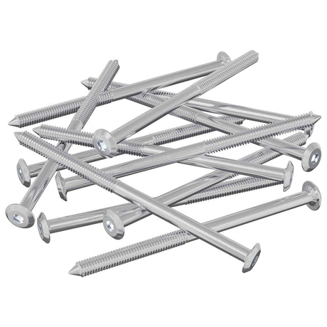 Vidaxl meubelschroeven 12 pcs zilver m6 x 100 mm staal