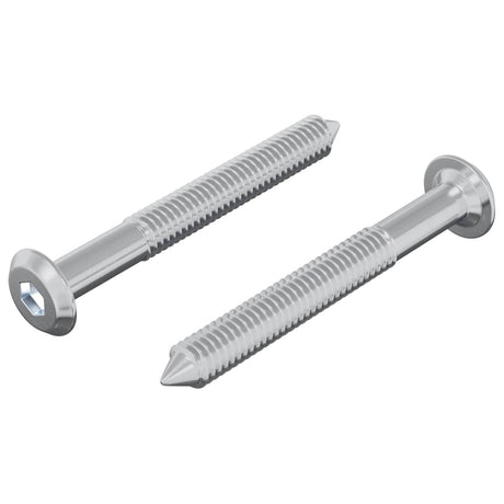 Vidaxl bout 2 pcs zilver m6 x 50 mm staal