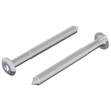 Vidaxl bout 2 pcs zilver m6 x 60 mm staal