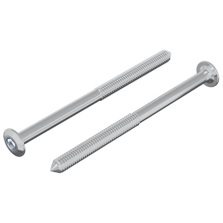 Vidaxl bout 2 pcs zilver m6 x 85 mm staal
