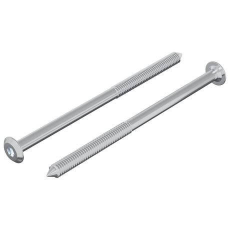 Vidaxl bout 2 pcs zilver m6 x 100 mm staal