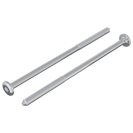 Vidaxl bout 2 pcs zilver m6 x 120 mm staal
