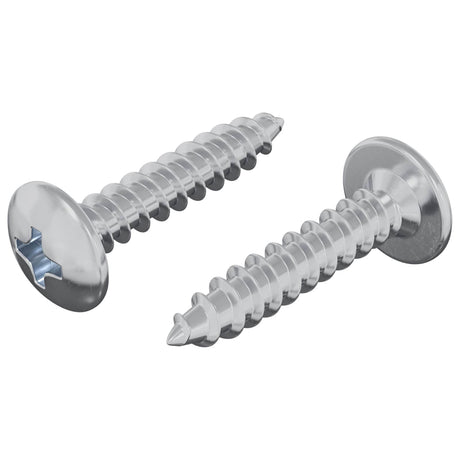 Vidaxl zelftappende nagel 2 pcs verzinkt 4 x 20 mm staal