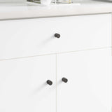 Vidaxl kastknop 2 pcs zwart 18 x 23 mm ijzer