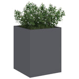 Vidaxl tuin bloempot antraciet 32 x 32 x 40 cm koudgewalst staal