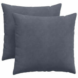 Vidaxl sofa kussens 2 stuks donkergrijs 45 x 45 cm cordstof