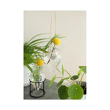 Ideen 4 Jahreszeiten Vase Breeze hängend ø6xh31cm klar