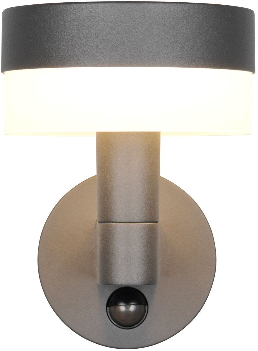 Trio Mackenzie - Wandleuchte - Anthrazit - inkl. 1x SMD 8W - Bewegungsmelder - Wandmontage - nicht für externen Dimmer geeignet - nicht dimmbar - Außenbeleuchtung - IP54