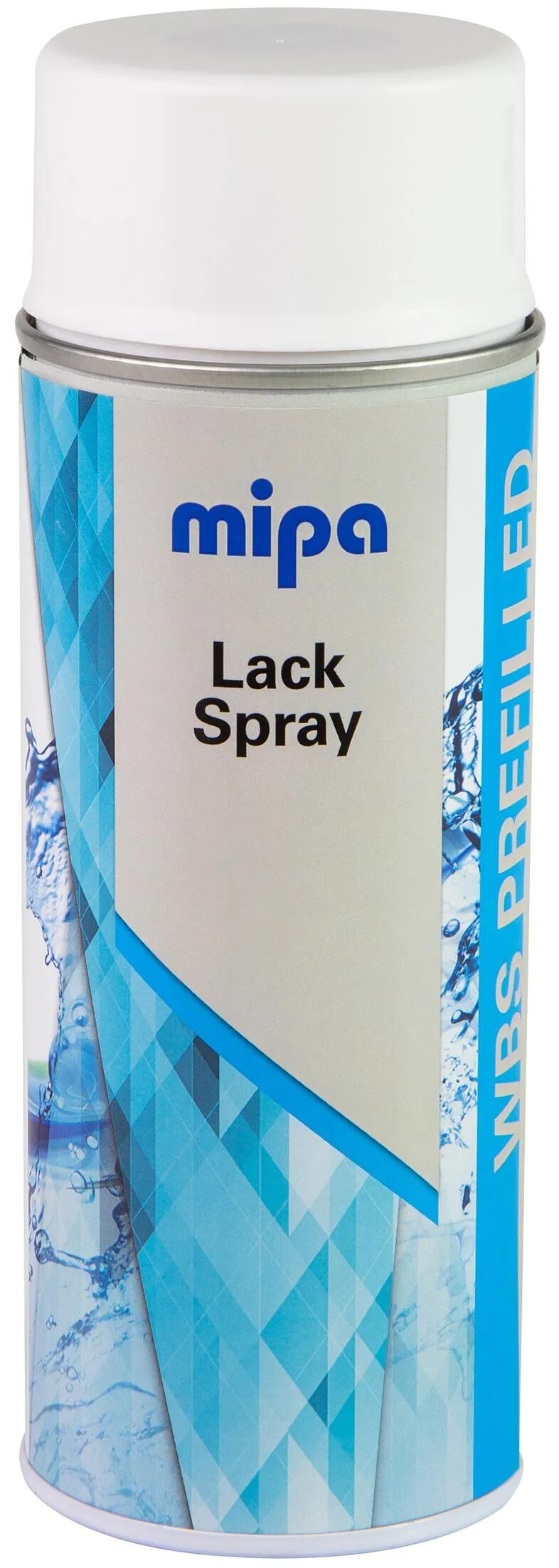 Mipa Leerverpackung Farbspraydose Sprühdose Leerdose WBS