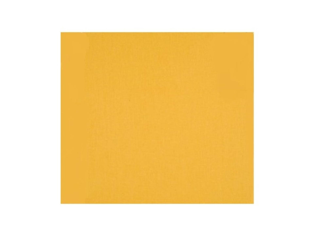 Fotokarton 25 Blatt 70x50cm bananengelb