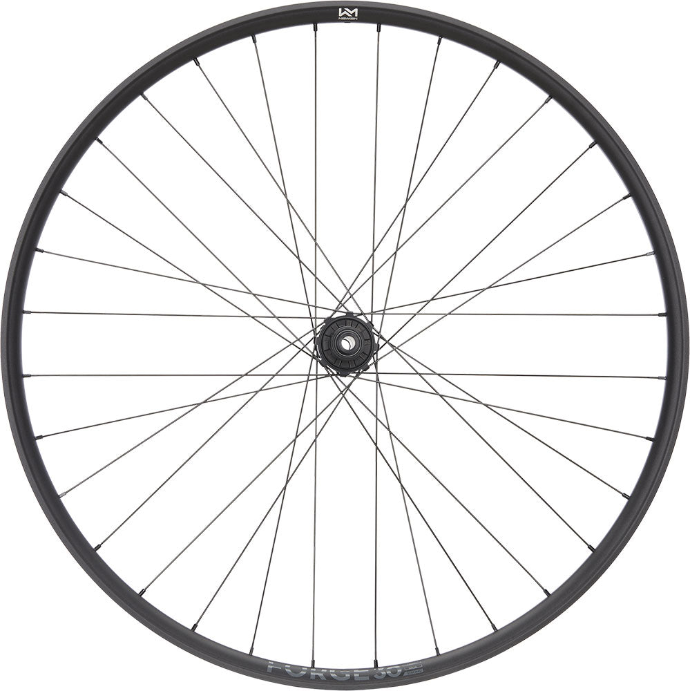 Newmen Forge 30 Dh 29 6-Loch 12x157 Fade Hinterrad