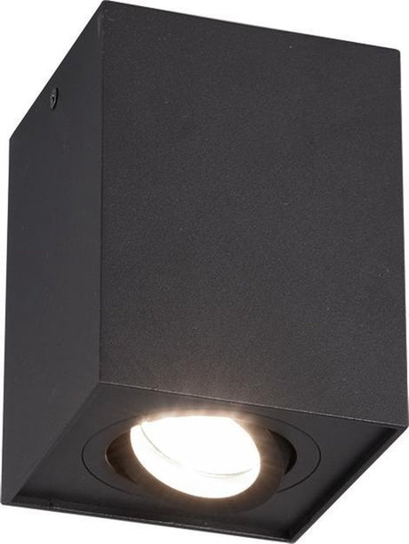 Trio Keks - Deckenleuchte - Schwarz matt - exkl. Leuchtmittel 1x gu10 35w