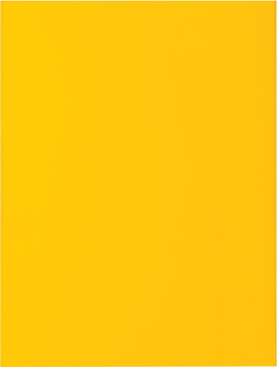 Exacompta rock''s 80 - pak van 100 inlegmappen 22x31cm voor a4 - citroengeel - 800011e