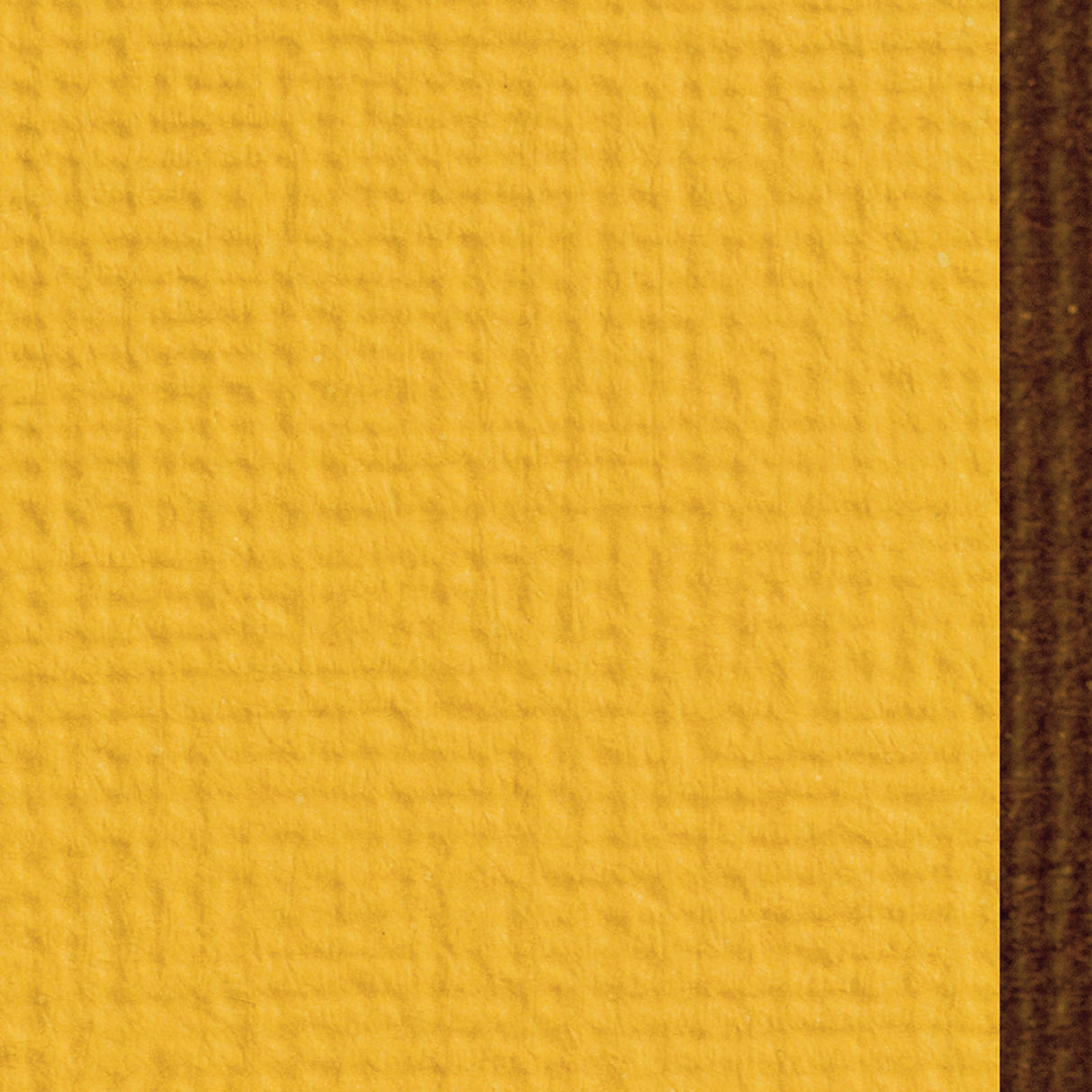 Craft Perfect von Tonic Studios Craft Perfect • Klassischer Karton, 30,5 x 30,5 cm, 5 Blatt Ringelblumengelb