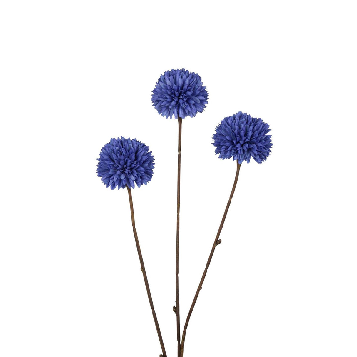 Roberts collection pompom 78 cm blauw