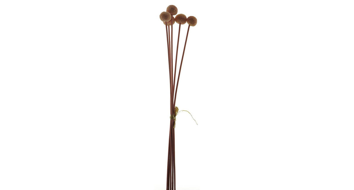 Seed fruit bundle x5 pink 58cm