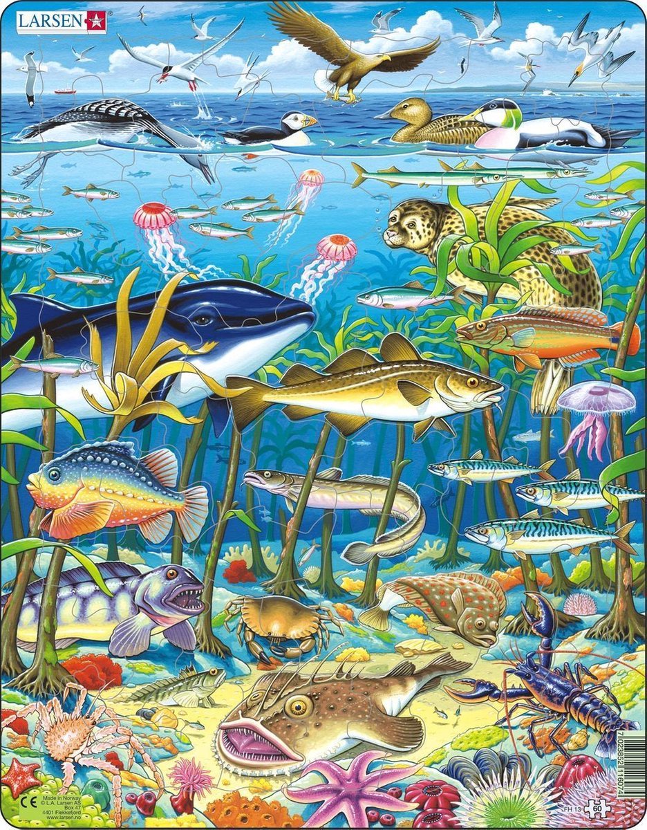 Selecta Larsen Puzzle Tiere – Meerestiere im Nordatlantik, 60 Teile.