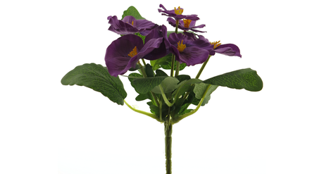 Pic viola k purple 20cm