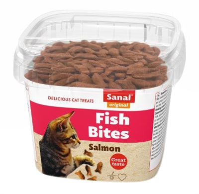 Sanal kattfisk biter kopp