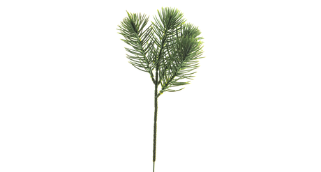 Pic pine k edward green 22cm