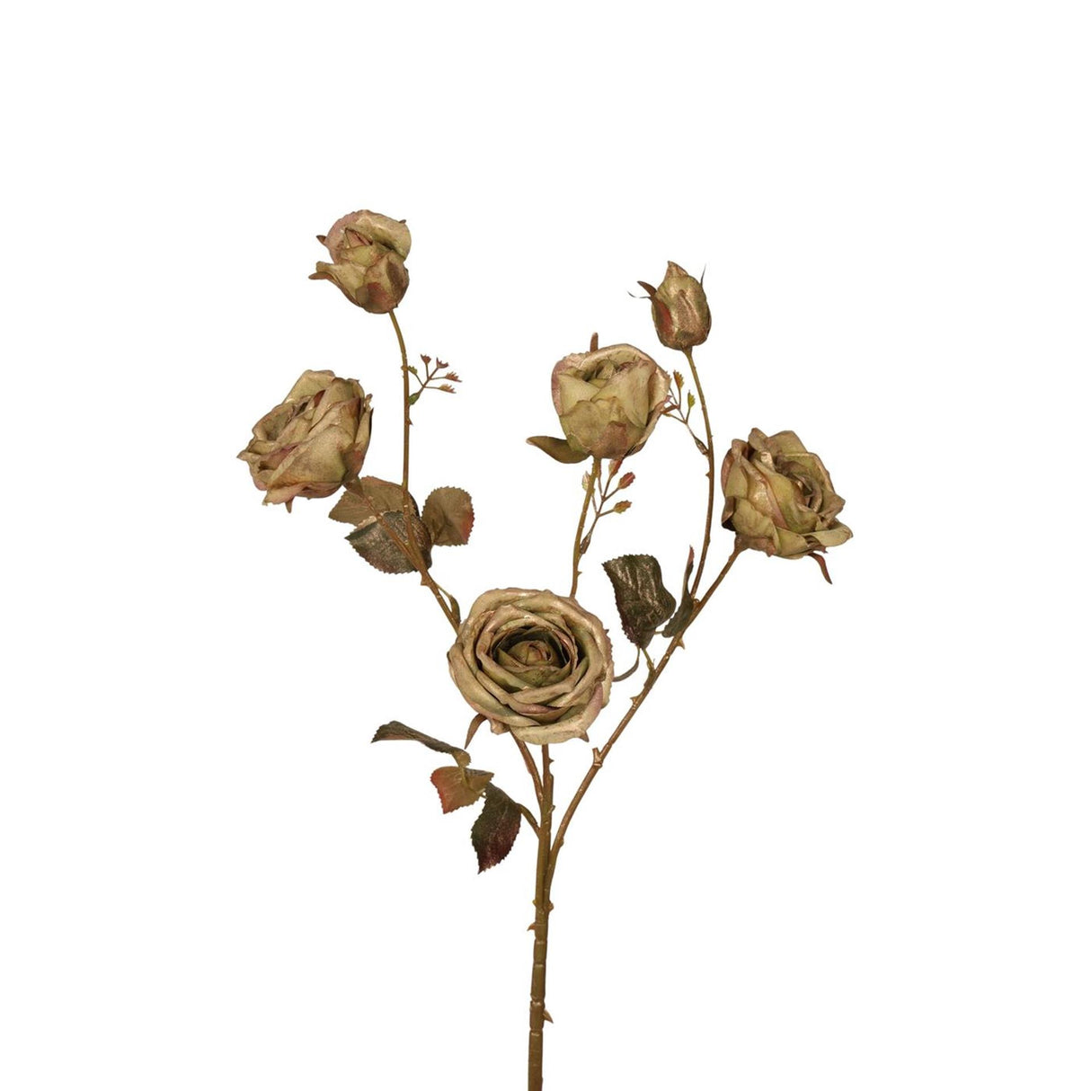 Roberts collection roos 66cm groen met goud