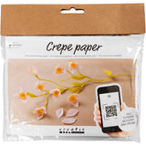 Creativ Company Mini-Hobby-Set Krepppapier, Kirschzweig, Kreppverhältnis: 180 %, 1 Box