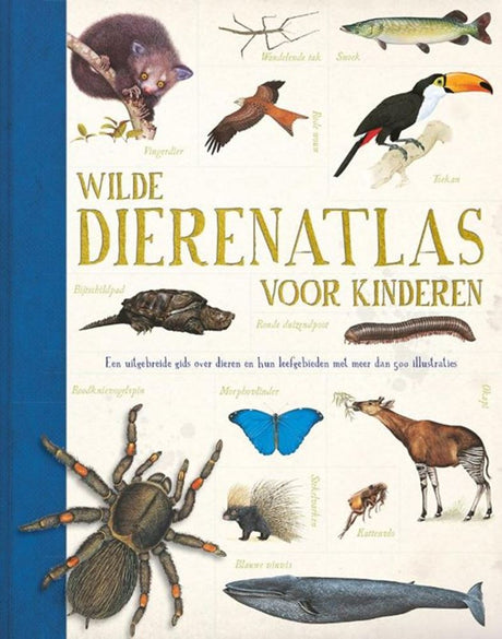 Rebo Verlag: Wildtieratlas für Kinder
