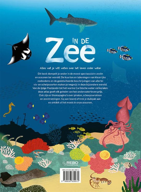 Im Meer. Alles, was Sie über 6+ wissen wollen
